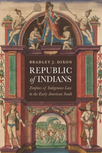 Cover image: Republic of Indians 9781512826425