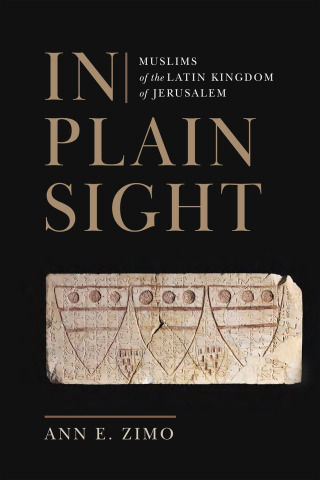 Imagen de portada: In Plain Sight 9781512824896