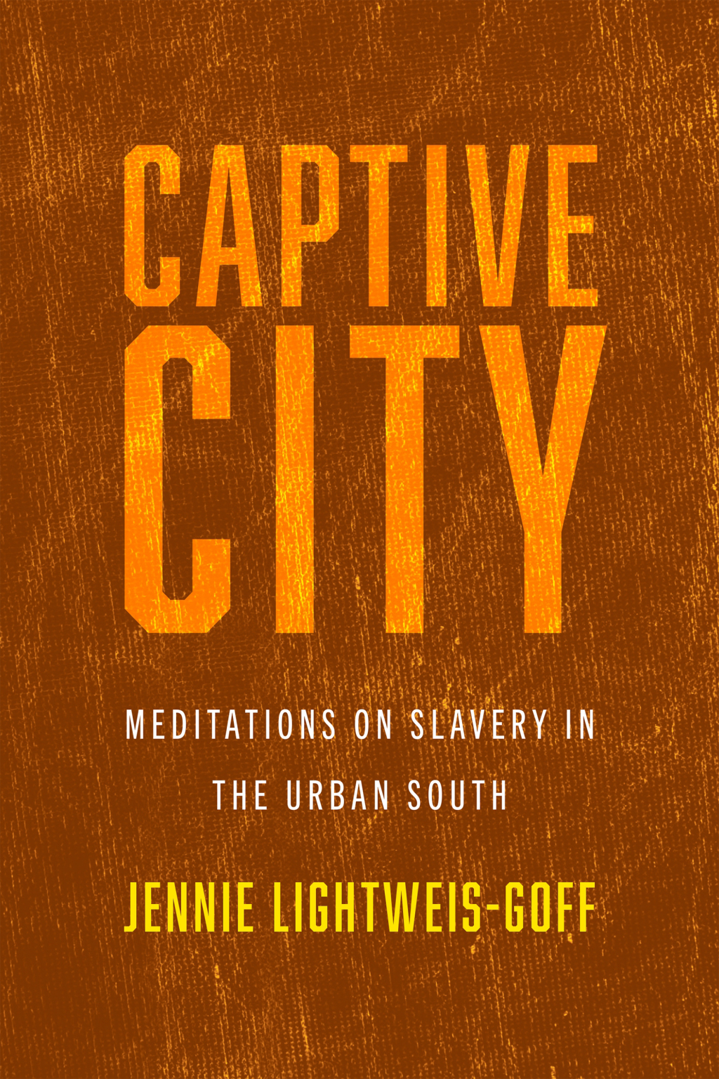 Captive City Meditations on Slavery in the Urban South
