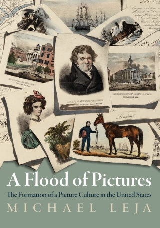 Cover image: A Flood of Pictures 9781512826807