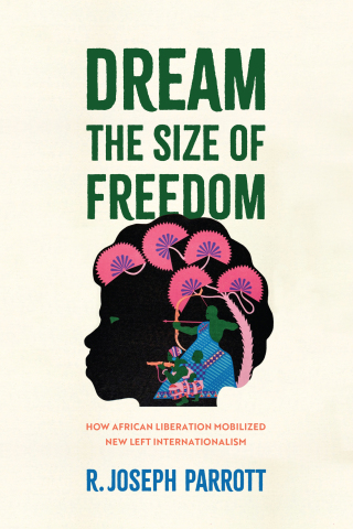 Cover image: Dream the Size of Freedom 9781512827675