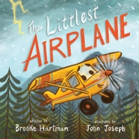 Imagen de portada: The Littlest Airplane 9781513128641