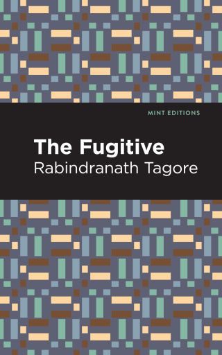 表紙画像: The Fugitive 9781513213828