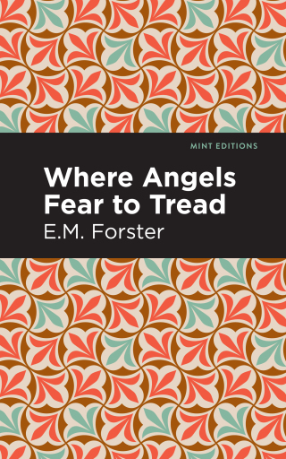 Imagen de portada: Where Angels Fear to Tread 9781513270654