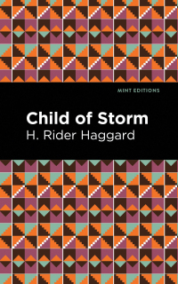 Titelbild: Child of Storm 9781513277684