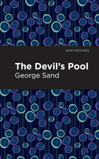 Imagen de portada: The Devil's Pool 9781513279534