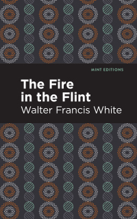 Cover image: The Fire in the Flint 9781513282435