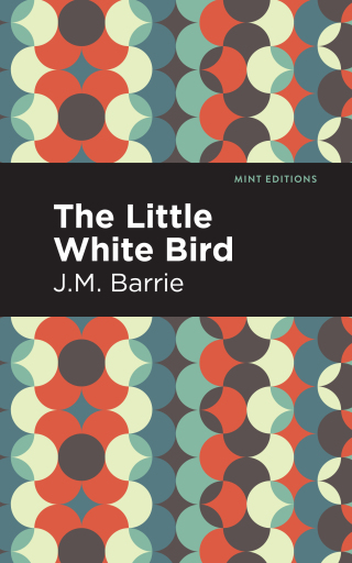 Cover image: The Little White Bird 9781513291260