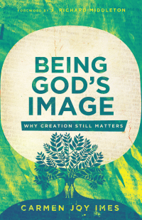 Imagen de portada: Being God's Image 9781514000205