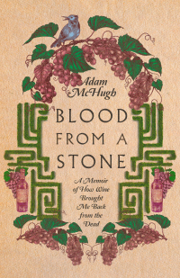 Omslagafbeelding: Blood From a Stone 9781514000885