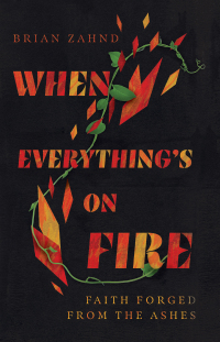 Omslagafbeelding: When Everything's on Fire 9781514003336
