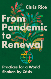 Omslagafbeelding: From Pandemic to Renewal 9781514005521