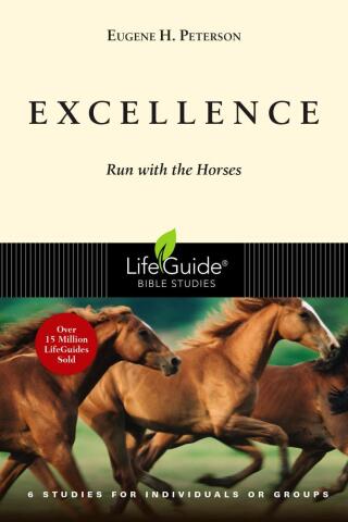 Imagen de portada: Excellence 9781514006023