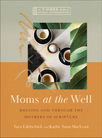 Cover image: Moms at the Well 9781514006788