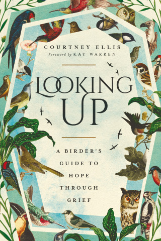 Cover image: Looking Up 9781514007167