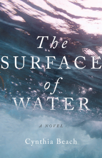Cover image: The Surface of Water 9781514007532