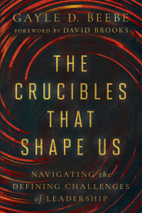 Cover image: The Crucibles That Shape Us 9781514008065
