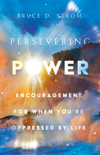 صورة الغلاف: Persevering Power 9781514008478