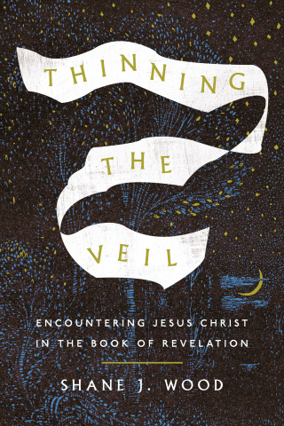 Cover image: Thinning the Veil 9781514009239