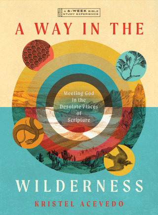Cover image: A Way in the Wilderness 9781514009291
