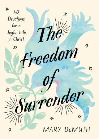 Cover image: The Freedom of Surrender 9781514011355