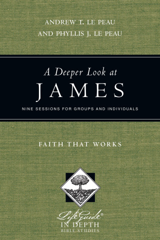 Cover image: A Deeper Look at James 9781514015070