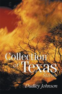 Cover image: Collection of Texas Stories 9781514400654