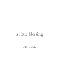 Cover image: A Little Blessing 9781514401774