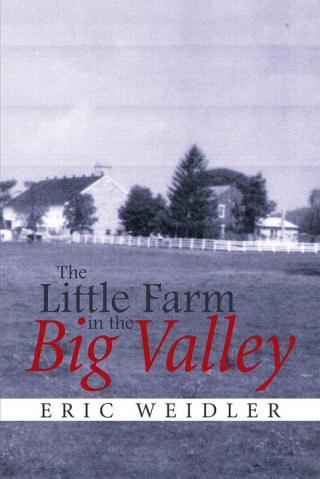 Omslagafbeelding: The Little Farm in the Big Valley 9781514401941