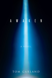 Cover image: Awaken 9781514404171