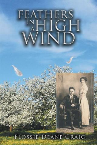 Cover image: Feathers in a High Wind 9781514406557