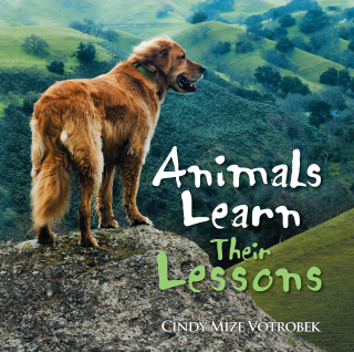 Cover image: Animals Learn Their Lessons 9781514416488