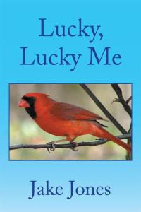 Cover image: Lucky, Lucky Me 9781514427538