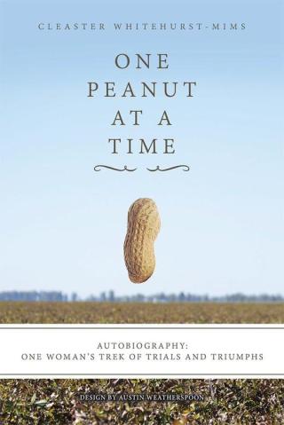 Cover image: One Peanut at a Time 9781514429976