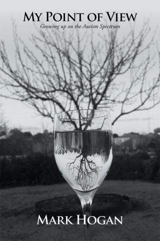 Cover image: My Point of View 9781514441862
