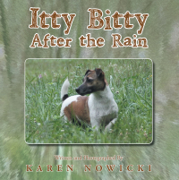 Cover image: Itty Bitty After the Rain 9781514450291