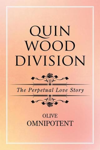 Cover image: Quinwooddivision 9781514453759