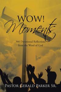 表紙画像: Wow! Moments 9781514456682