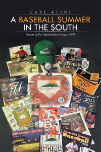 Imagen de portada: A Baseball Summer in the South 9781514456835