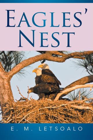 Imagen de portada: Eagles' Nest 9781514465851