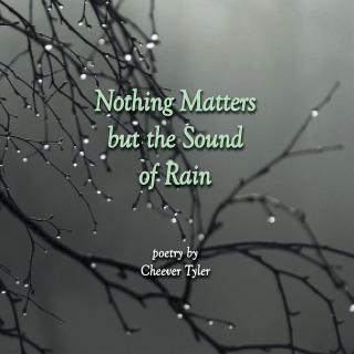 Cover image: Nothing Matters but the Sound of Rain 9781514472118