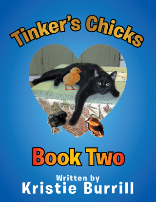 Cover image: Tinker's Chicks 9781514476437