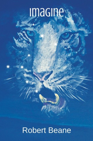 Omslagafbeelding: Imagine 9781514480076