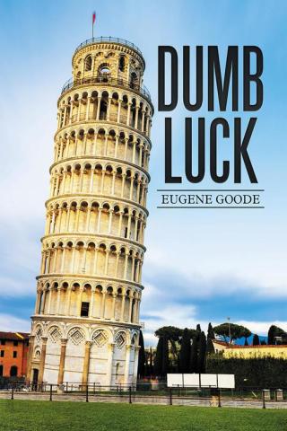 Imagen de portada: Dumb Luck 9781514484104