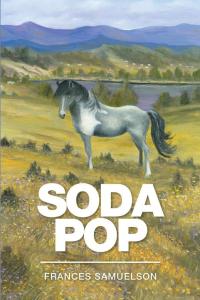 Imagen de portada: Soda Pop 9781514490280