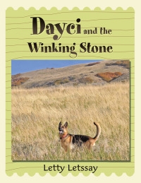 Imagen de portada: Dayci and the Winking Stone 9781514490624