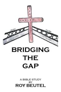 Titelbild: Bridging the Gap 9781514492956