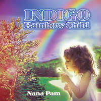 Cover image: Indigo Rainbow Child 9781514493960