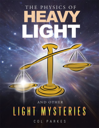 Imagen de portada: The Physics of Heavy Light 9781514494882