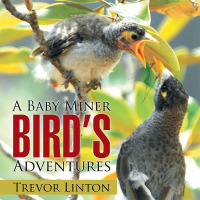 Cover image: A Baby Miner Bird’S Adventures 9781514495605
